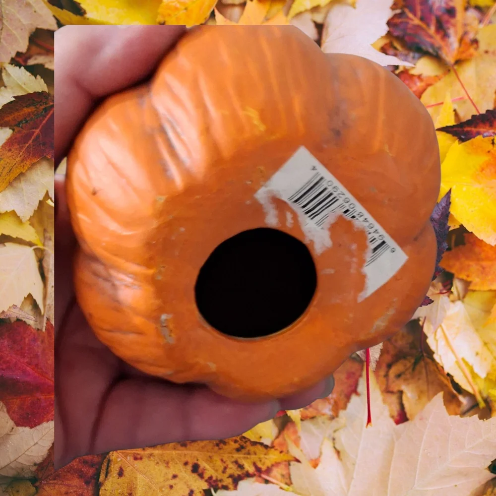 🍊Hobby Lobby Orange Pumpkin Decor - Picture 3 of 4